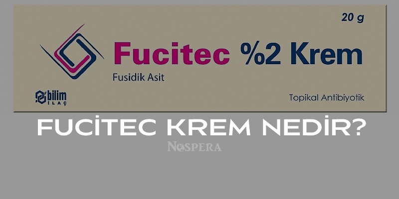 Fucitec Krem: Kullanımı, Faydaları ve 2024 Fiyatı