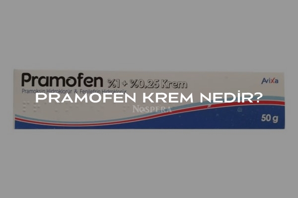 Pramofen Krem: Anestezik ve İltihap Giderici Cilt Bakım Ürünü