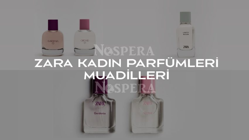Zara Kadın Parfümü Muadilleri: Hangi Parfüm Muadili?