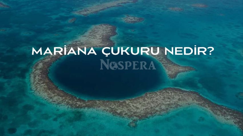 Mariana Çukuru: Okyanusun En Derin Noktası – Mariana’nın Sırları